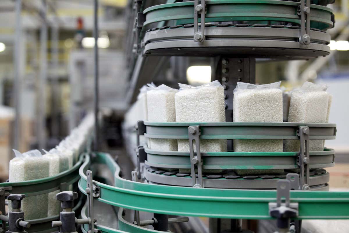 Prezzi bassi (come 10 anni fa), costi alle stelle: l’allarme dei risicoltori pavesi Prezzi bassi (come 10 anni fa), costi alle stelle: l’allarme dei risicoltori pavesi