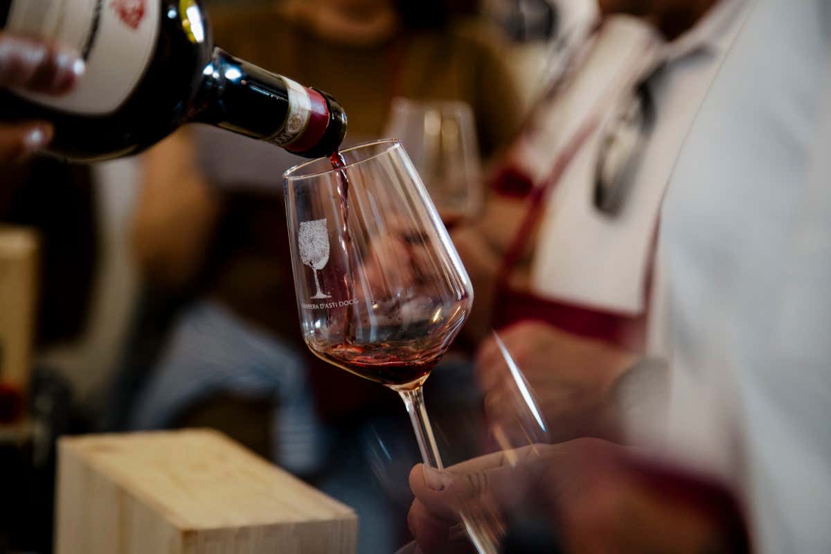 Barbera e Nebbiolo, vini in evoluzione nel Monferrato (fra freschezza e finezza) Barbera e Nebbiolo, vini in evoluzione nel Monferrato (fra freschezza e finezza)