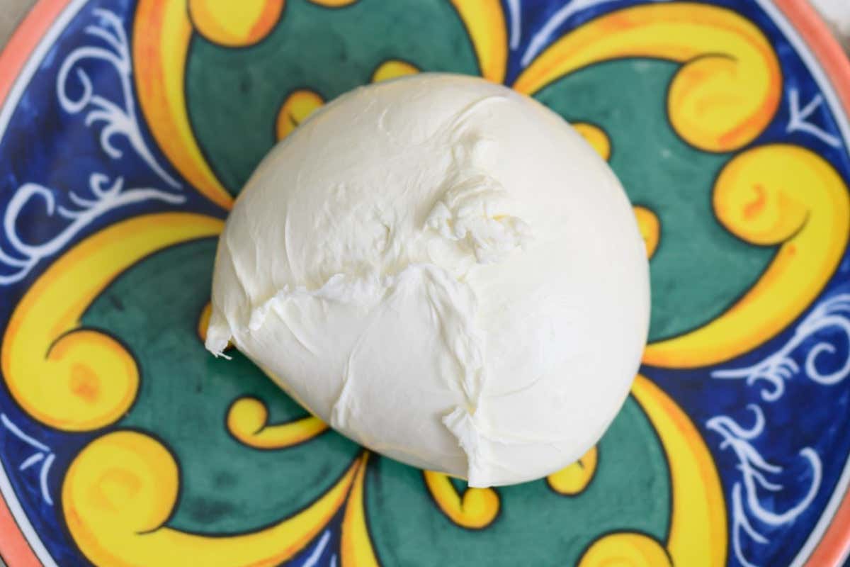 Guerra in Iran, primi effetti sui conti delle famiglie: rincara la mozzarella? Guerra in Iran, primi effetti sui conti delle famiglie: rincara la mozzarella?