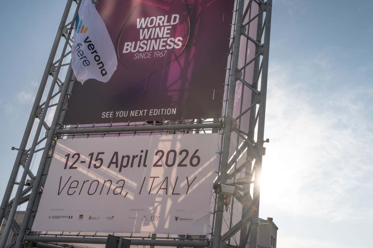 Vinitaly 2026, tra ristorazione e grandi cantine: ecco tutti i premiati