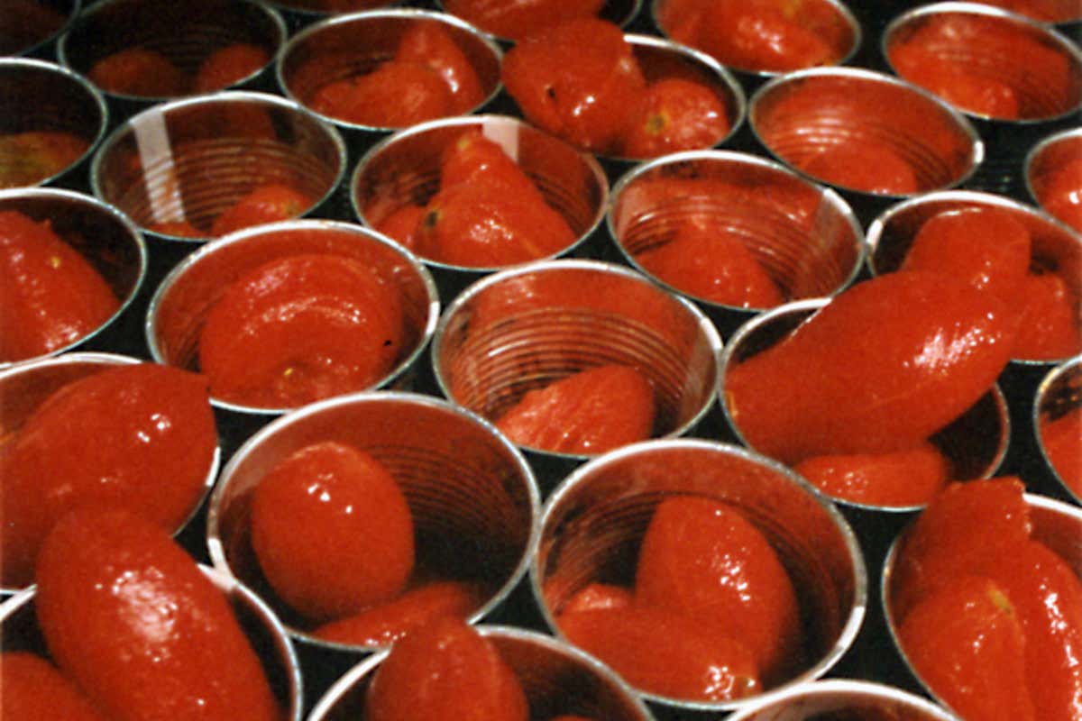 Pomodoro italiano, export da 2,8 miliardi, ma è in calo Conserve di pomodoro: Italia ancora leader ma export in calo dopo 10 anni