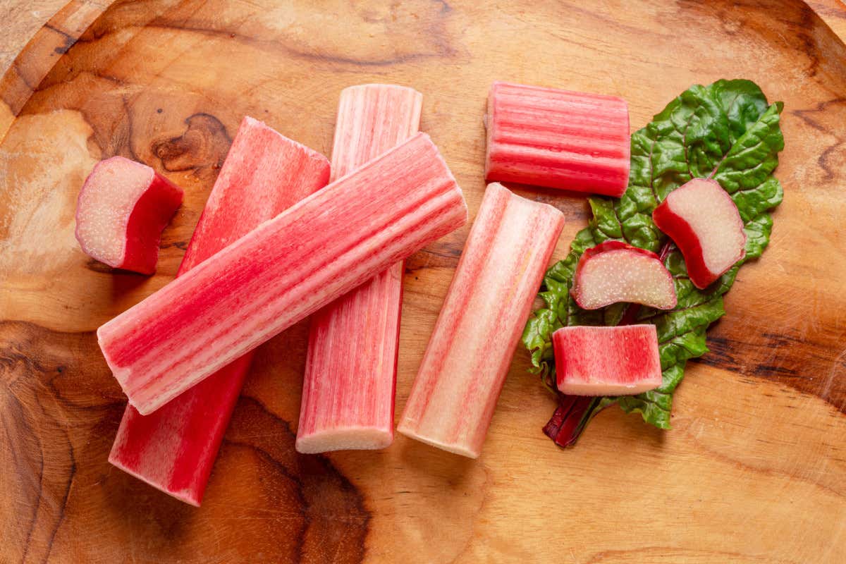 Il rabarbaro tra cucina e fitoterapia: proprietà, usi e limiti di una pianta complessa