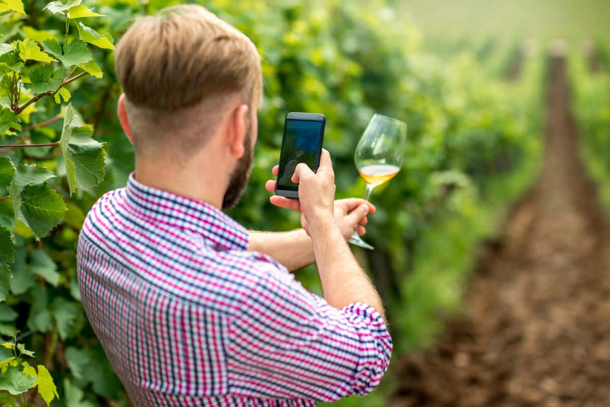 Racconto digitale del vino: la piattaforma lombarda come progetto pilota nazionale