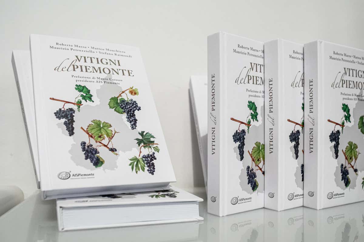 vitigni del piemonte