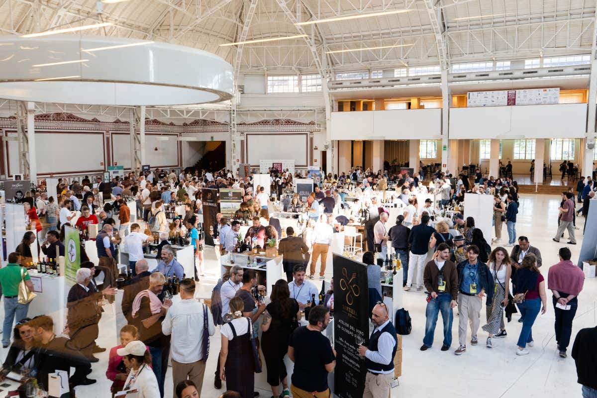 Tutto pronto per la settima edizione di Best Wine Stars, con moltissime novità