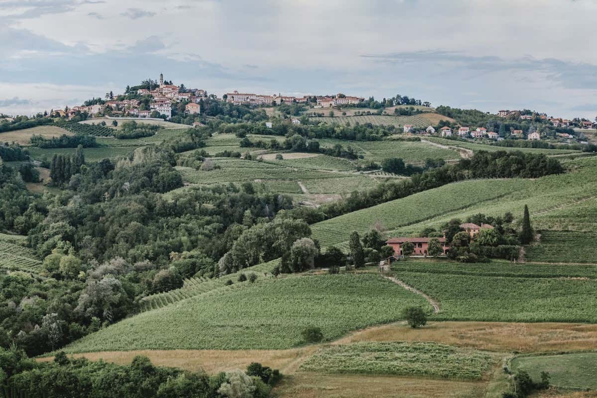I terreni di Cascina Gilli nel Monferrato astigiano