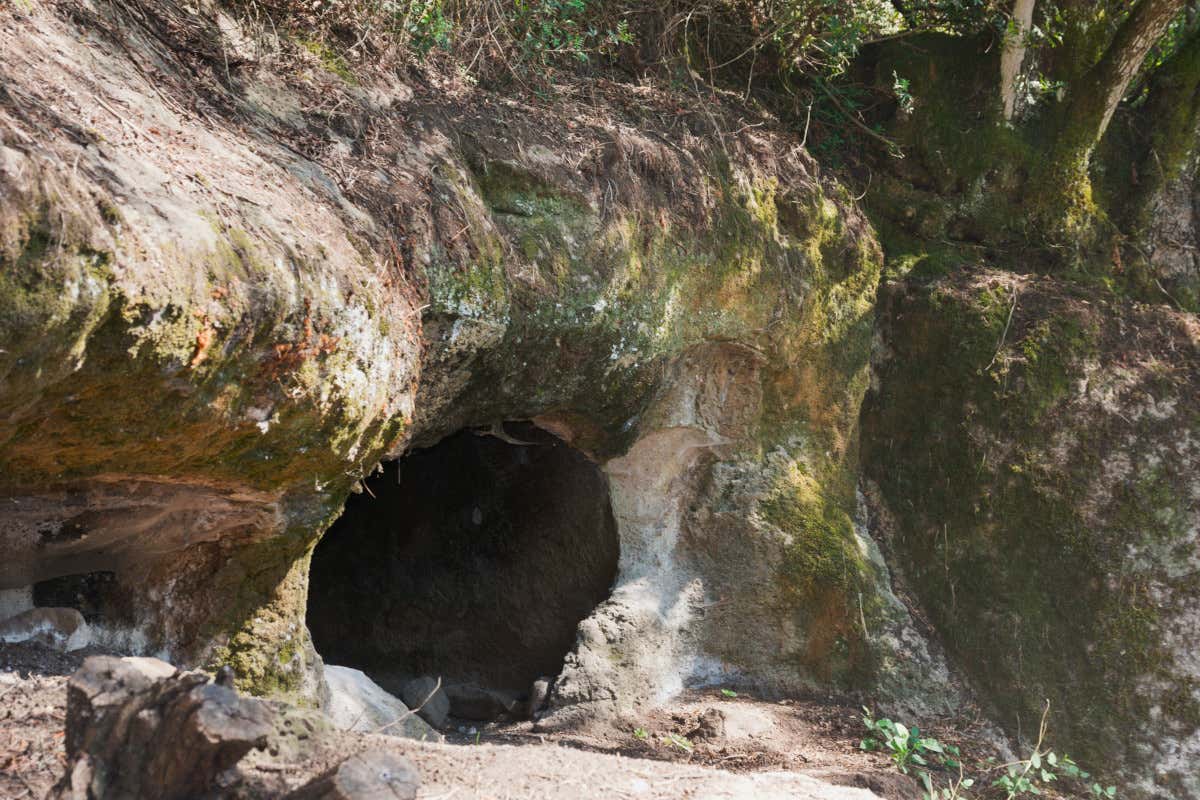 Le domus de janas sono strutture funerarie ipogeiche della preistoria sarda