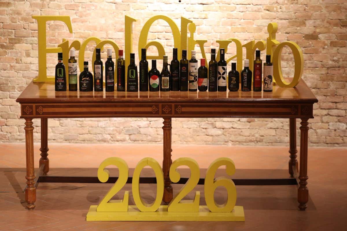 Ercole Olivario 2026: ecco tutte le etichette di olio premiate
