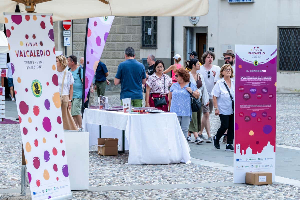 Bergamo, il vino entra in città: come cambia Evviva Valcalepio per i 50 anni della Doc