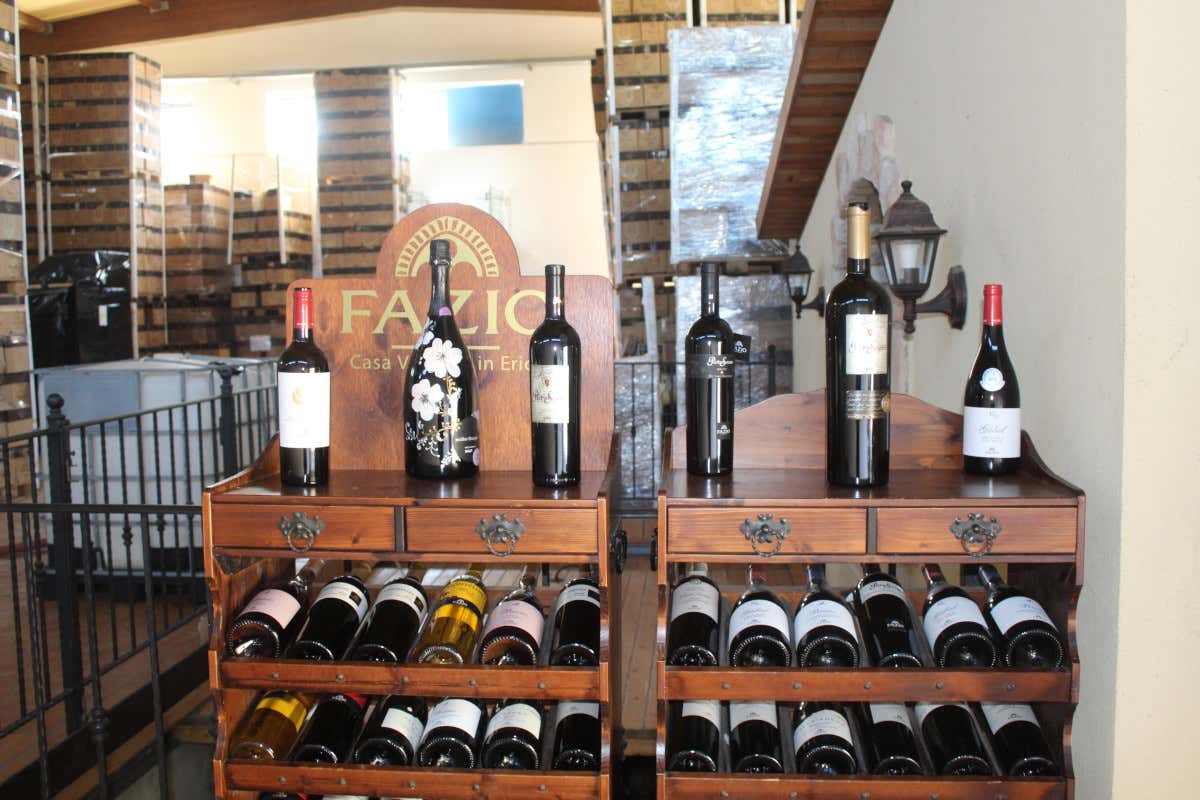 Cantine Fazio: il tempo, il territorio e l’identità del vino siciliano