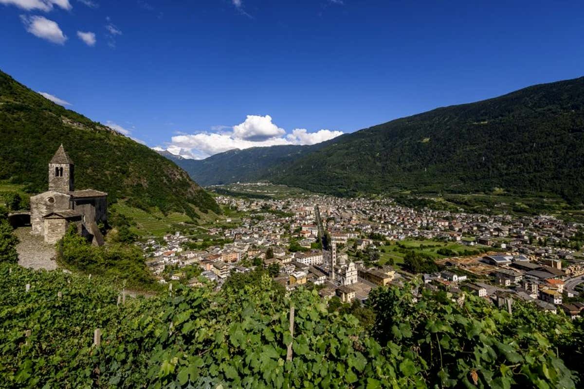 Tirano