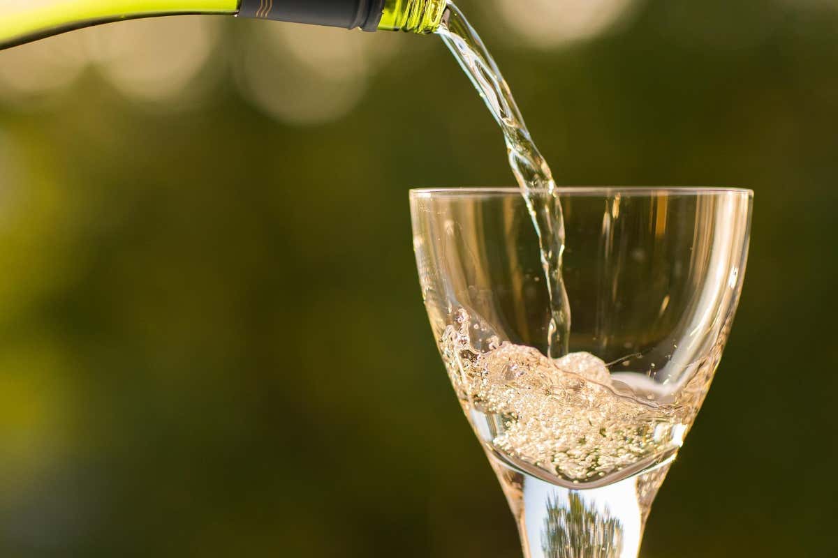 Dealcolazione del vino, Il Gruppo Mazzetti apre una nuova filiera produttiva Dealcolazione del vino, Il Gruppo Mazzetti apre una nuova filiera produttiva