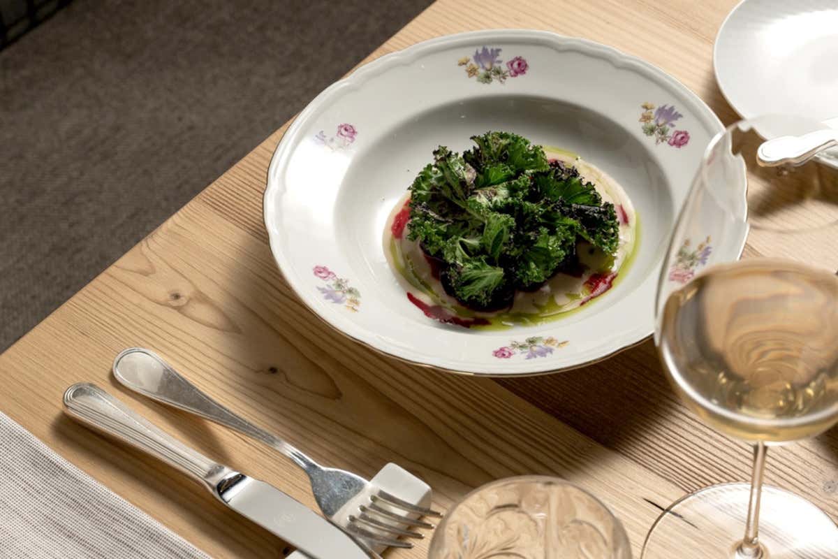 Orso Grigio (Cavalese, Trento)