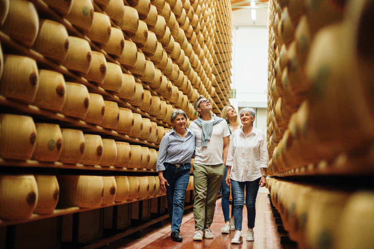 Una delle esperienze più interessanti di Caseifici aperti è la visita ai magazzini di stagionatura
