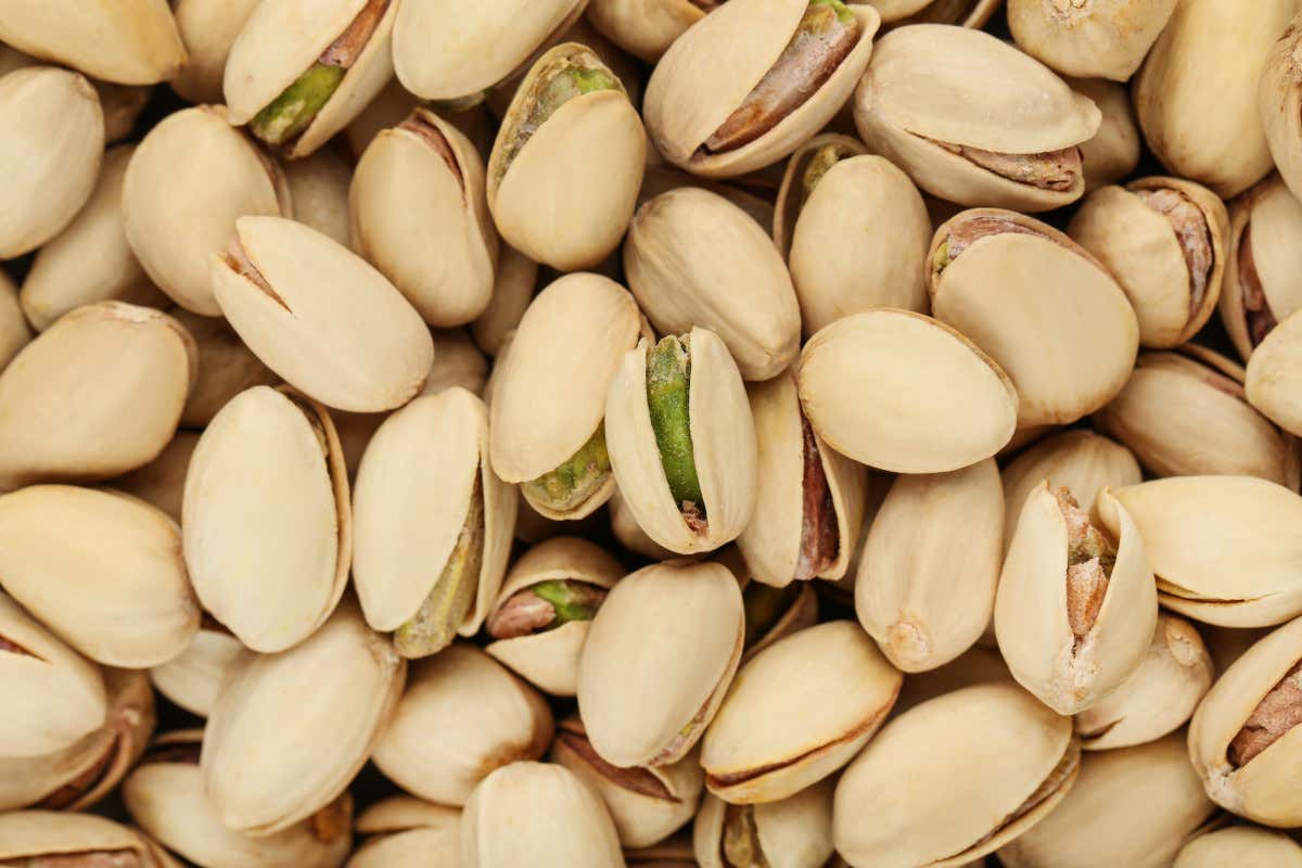 Usa-Iran, la crisi colpisce anche il pistacchio tra export fermo e rincari