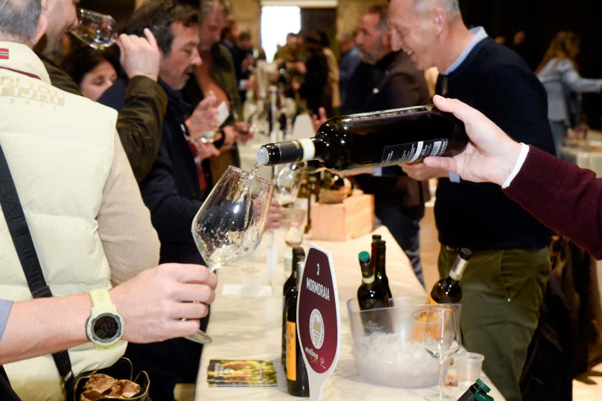 Dalla guida Ais una selezione dei migliori vini della Toscana, uno per provincia