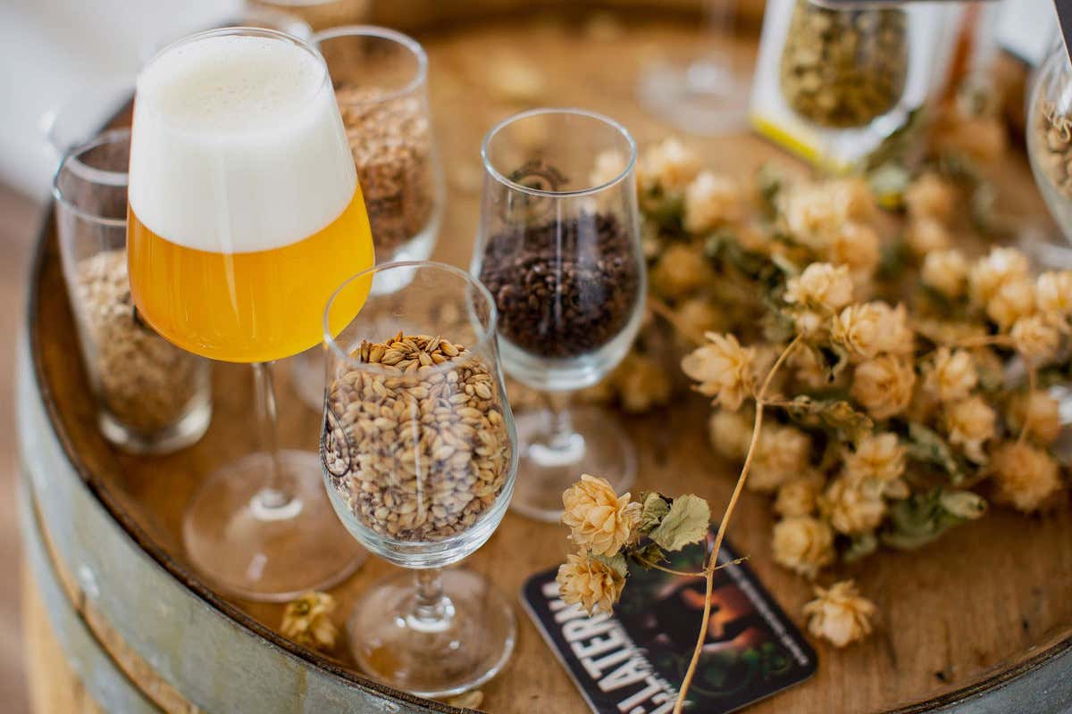 Claterna, la birra agricola che parte dai campi e affina in legno