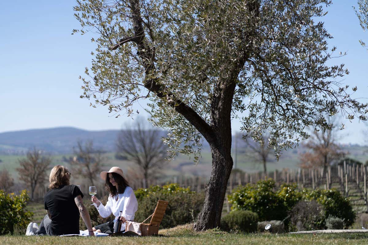 Cantine Aperte in Umbria, oltre 40 aziende coinvolte nell’edizione 2026