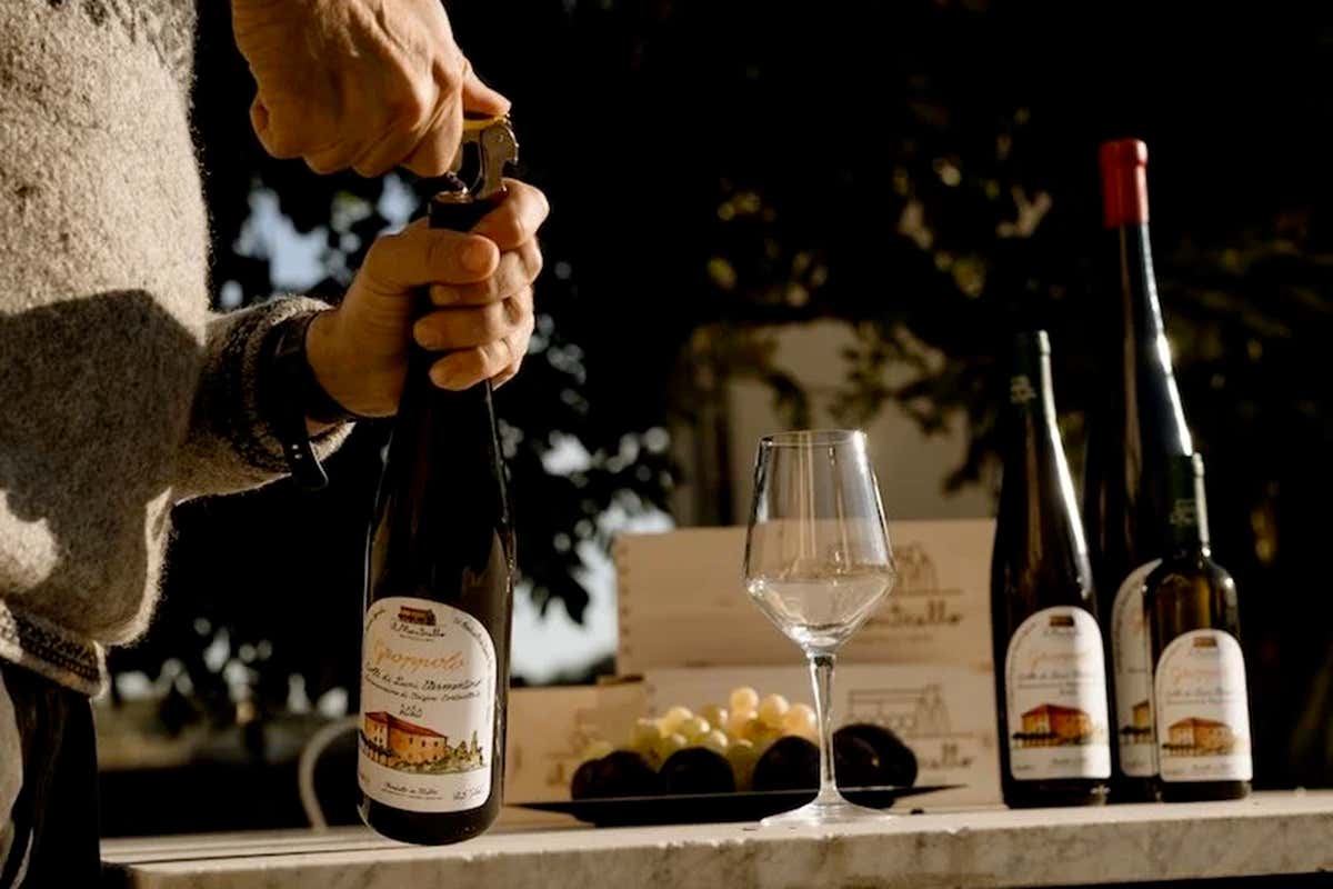 Groppolo Doc Colli di Luni Vermentino