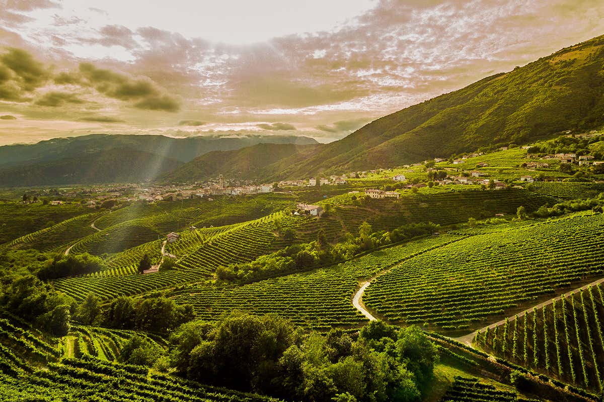 Le colline del Conegliano Valdobbiadene rappresentano il cuore produttivo di Valdo Spumanti
