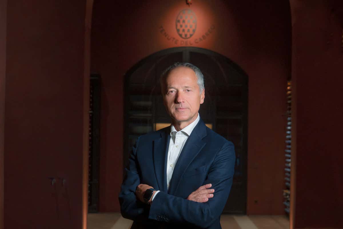 Folonari cambia guida: Davide Profeti è il nuovo amministratore delegato Folonari cambia guida: Davide Profeti è il nuovo amministratore delegato