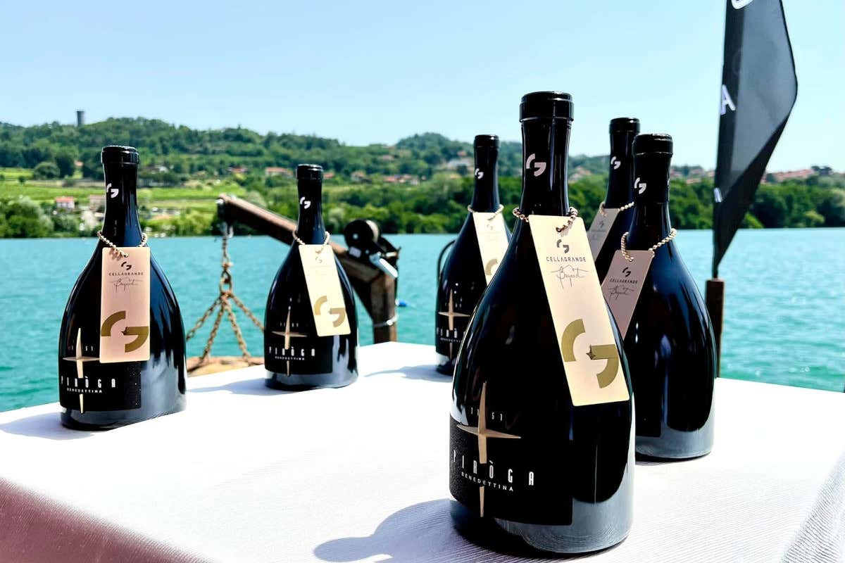 In Piemonte c’è un vino che matura nel lago di Viverone: la “Piroga Benedettina” In Piemonte c’è un vino che matura nel lago di Viverone: la “Piroga Benedettina”