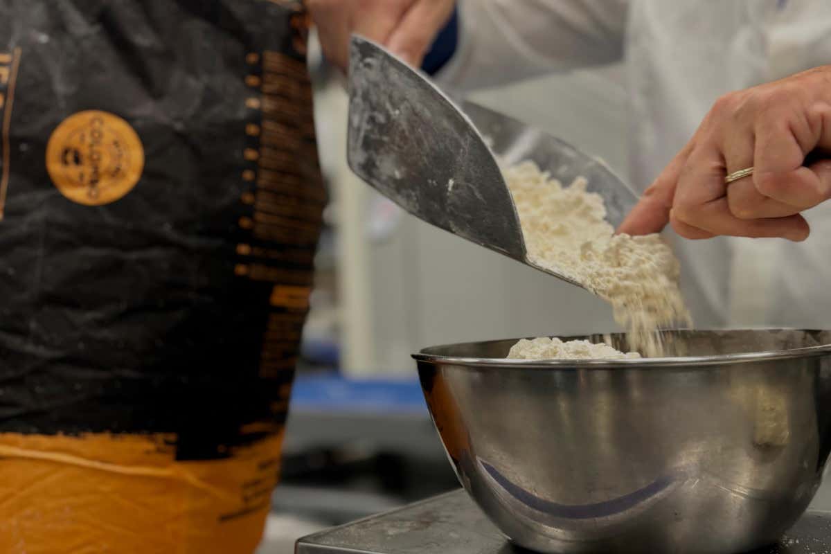 Tradizione e visioni del panettone: maestri del lievito madre e pasticceri a confronto