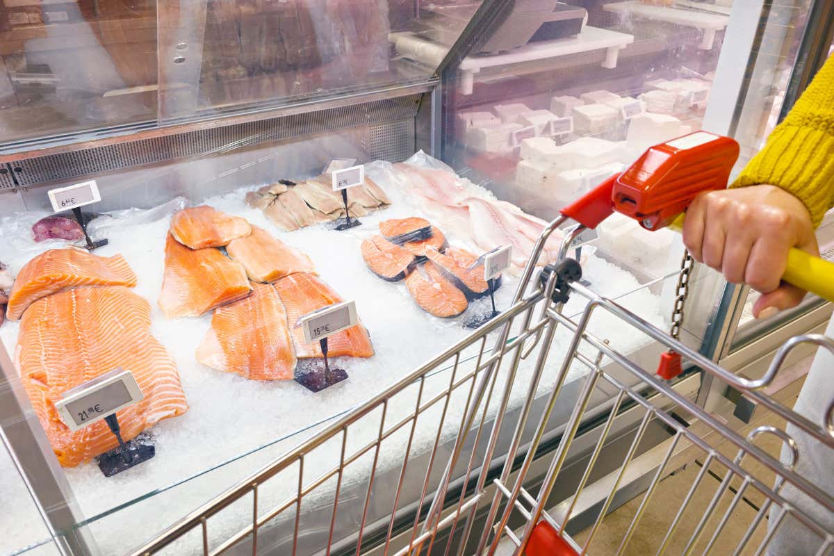 Mercato ittico oltre i 4 miliardi: cresce il salmone, cala il baccalà tradizionale Mercato ittico oltre i 4 miliardi: cresce il salmone, cala il baccalà tradizionale