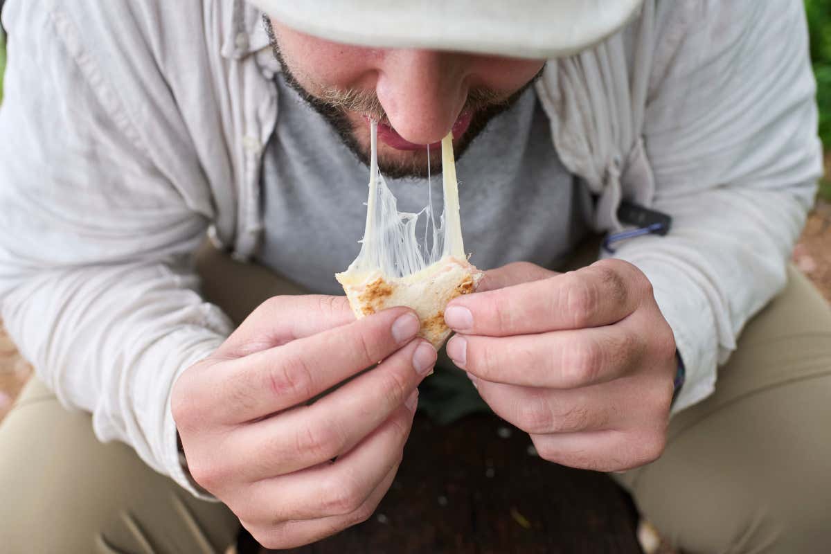 Formaggio e guida: perché è un alleato prima di un lungo viaggio Formaggio e guida: perché è un alleato prima di un lungo viaggio