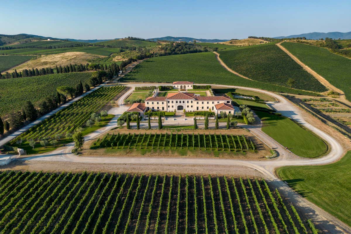 30 anni di Val delle Rose: la scommessa di Cecchi sulla Maremma che ha cambiato il vino