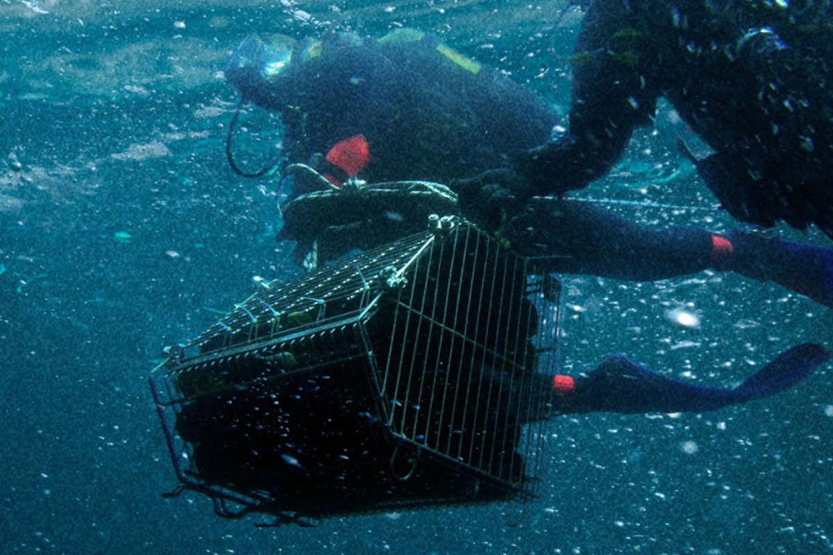 Il vino che matura in mare: a Milano il racconto dell’affinamento subacqueo