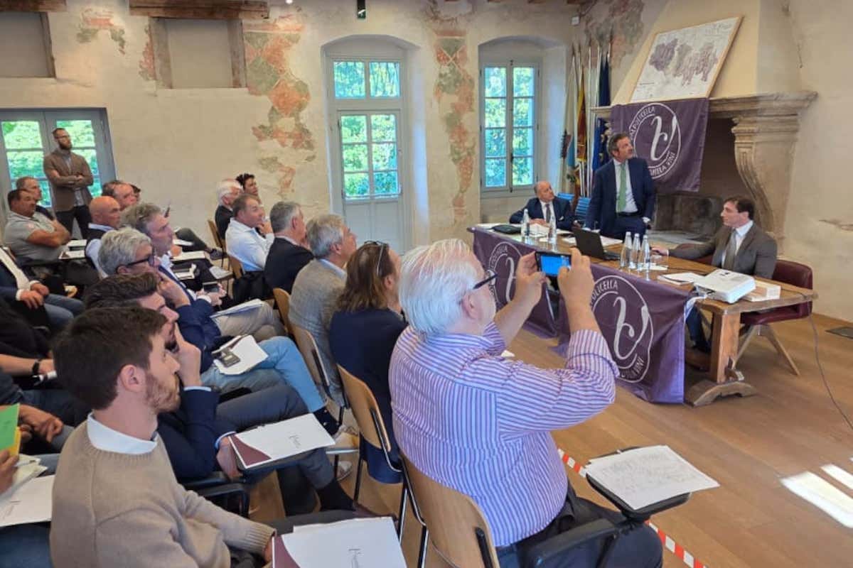 Un momento dell'assemblea del Consorzio per la tutela dei vini Valpolicella Consorzio Valpolicella eletto nuovo Cda e approvato un bilancio record Un momento dell'assemblea del Consorzio per la tutela dei vini Valpolicella Consorzio Valpolicella eletto nuovo Cda e approvato un bilancio record