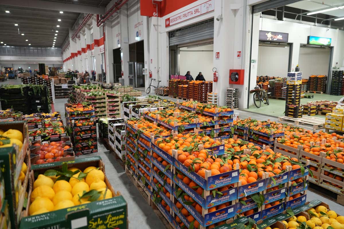 Il mercato Ortofrutticolo di Milano gestito da Sogemi