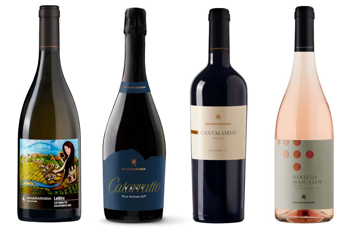 Le novità di Mandrarossa (da sinistra):  Mandrarossa: quattro nuovi vini per leggere i vitigni siciliani