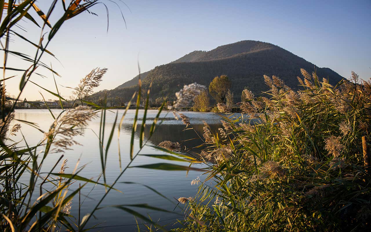 Tra Montegrotto Terme e i Colli Euganei si sviluppa un paesaggio unico fatto di acque termali, natura vulcanica e testimonianze storiche