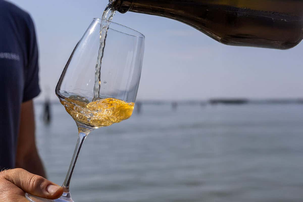 Venezia nel calice: alla scoperta della Dorona e del Lison Docg