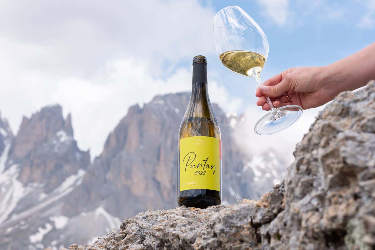 Vini biologici in crescita: Erste+Neue accelera sulla linea Puntay