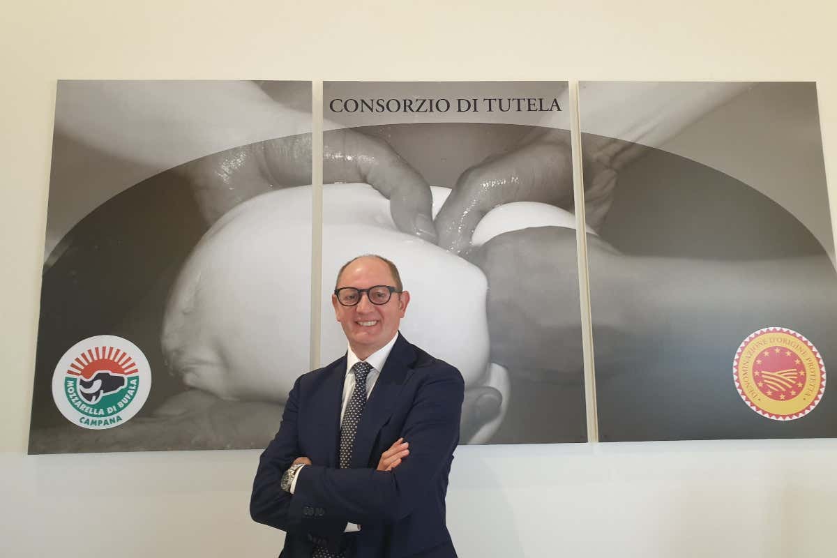 A New York la Mozzarella di Bufala Campana Dop si racconta dal vivo
