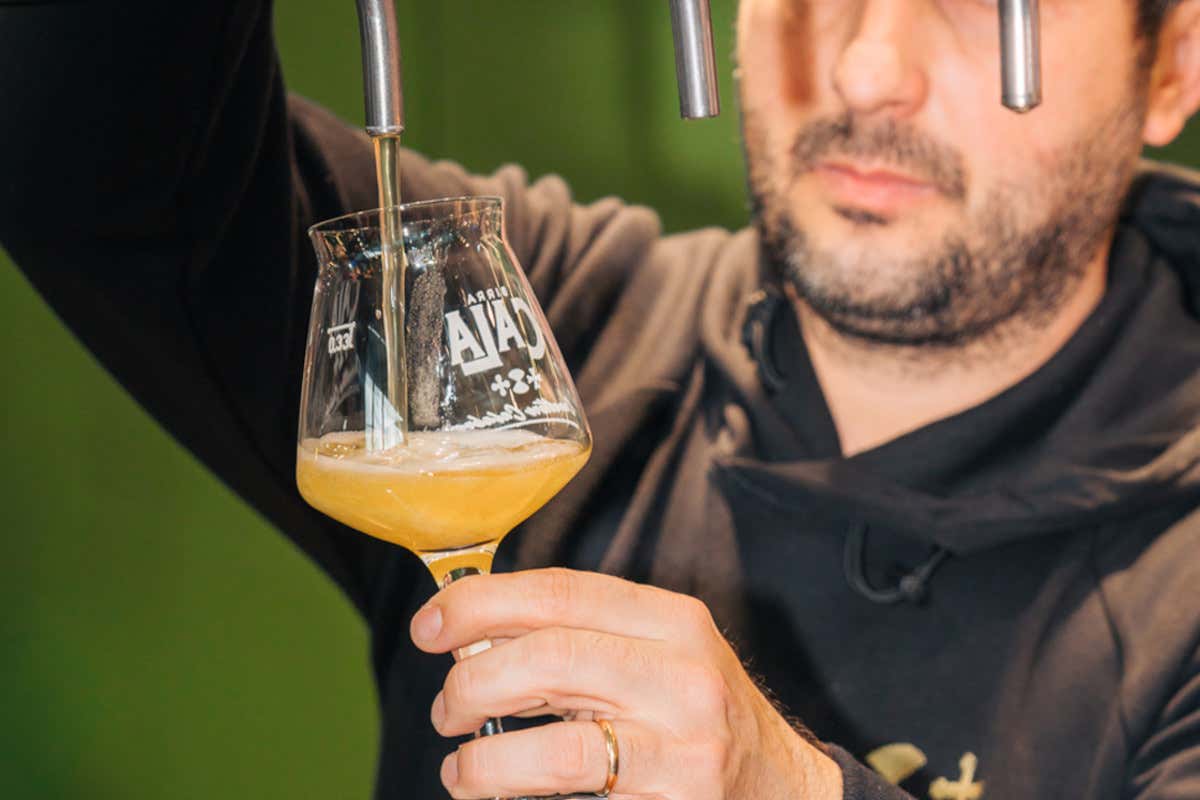 Scalea, il birrificio immerso nel Pollino che usa cedro e bergamotto nelle sue ricette