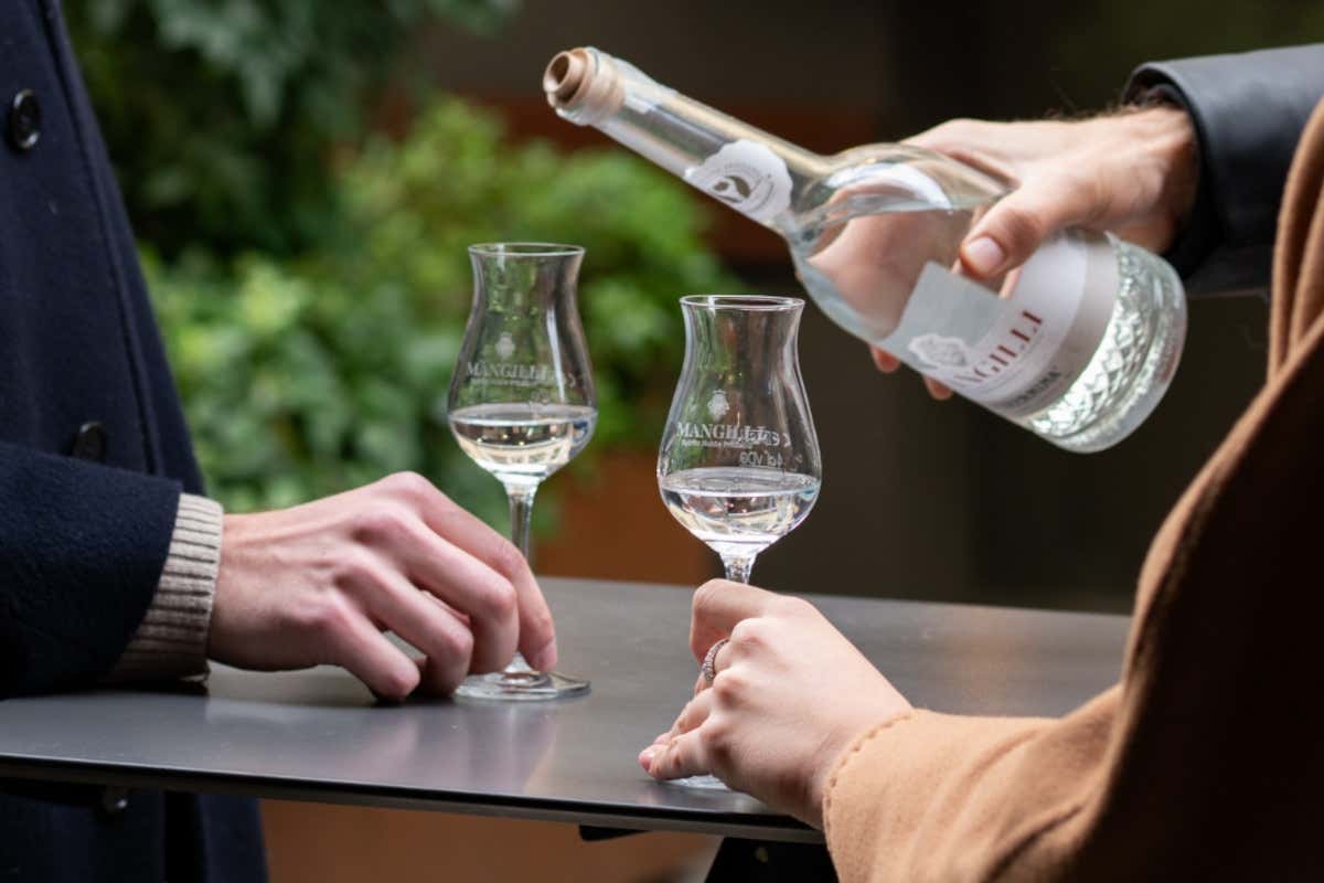 Grappa Mangilli, il valore delle radici è diventato racconto lungo le strade del Giro