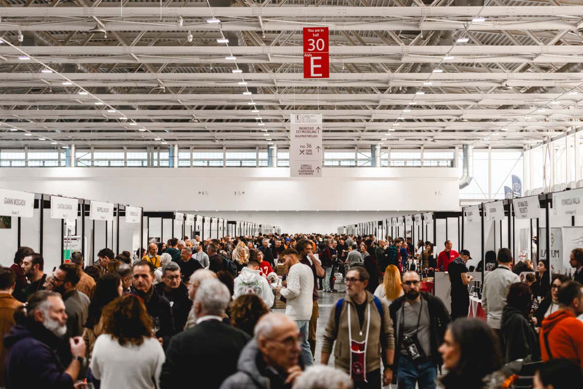 Il racconto del vino passa dall’arte: Fivi svela il Mercato dei Vini 2026 Il racconto del vino passa dall’arte: Fivi svela il Mercato dei Vini 2026