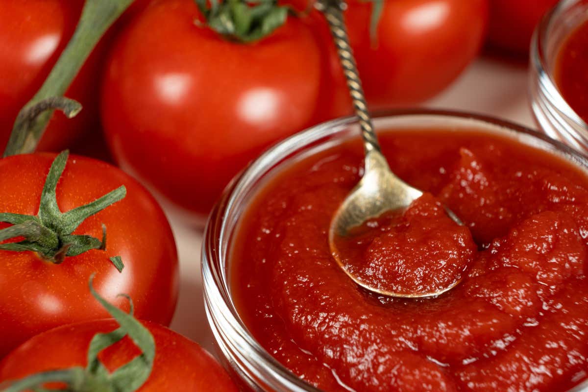 L'Italia resta leader del pomodoro trasformato: export da 2,8 miliardi nel 2025 L'Italia resta leader del pomodoro trasformato: export da 2,8 miliardi nel 2025