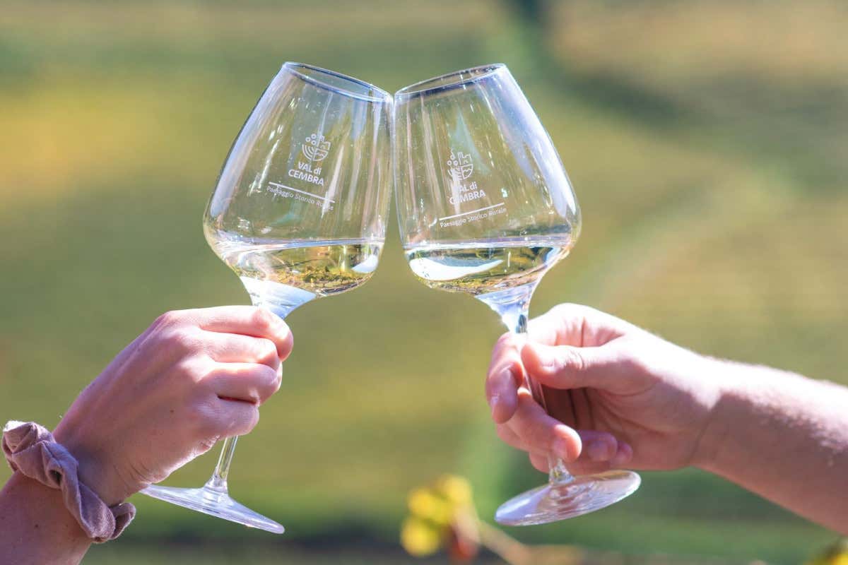 Il Müller Thurgau torna protagonista tra degustazioni, vigneti e cultura di montagna Il Müller Thurgau torna protagonista tra degustazioni, vigneti e cultura di montagna