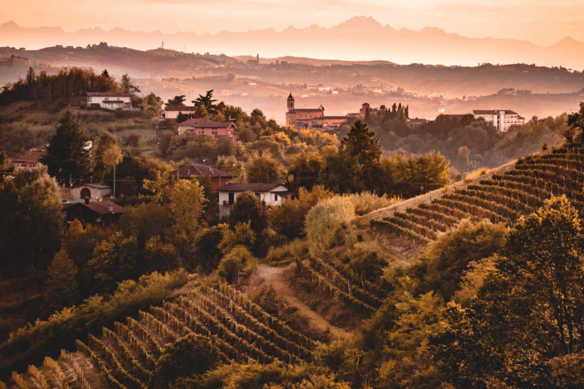 Il Nizza Docg diventa Consorzio: una nuova fase per il Barbera del Monferrato