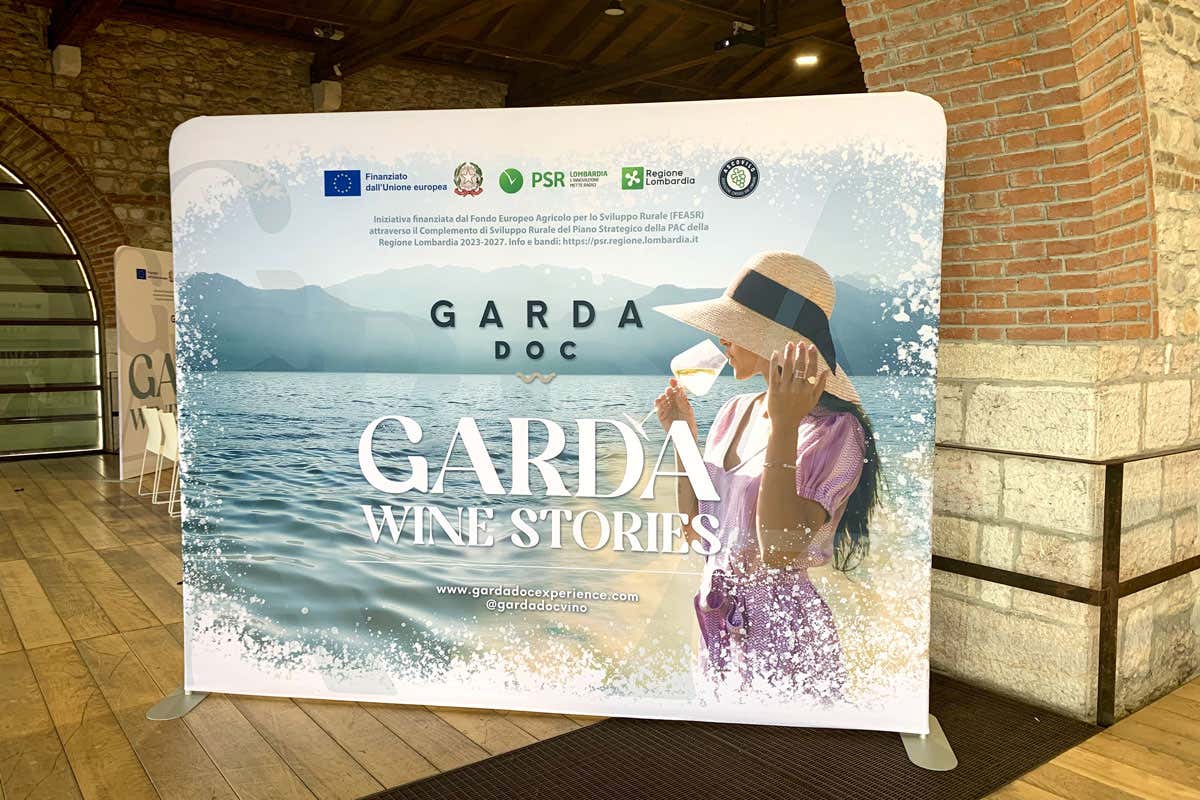 Consorzio Garda Doc tra vini low alcol, enoturismo e nuovi consumatori