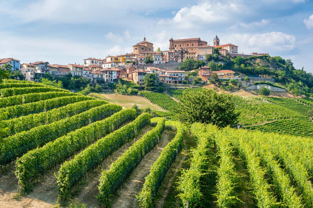 Vista su La Morra (Cn) e i suoi vigneti