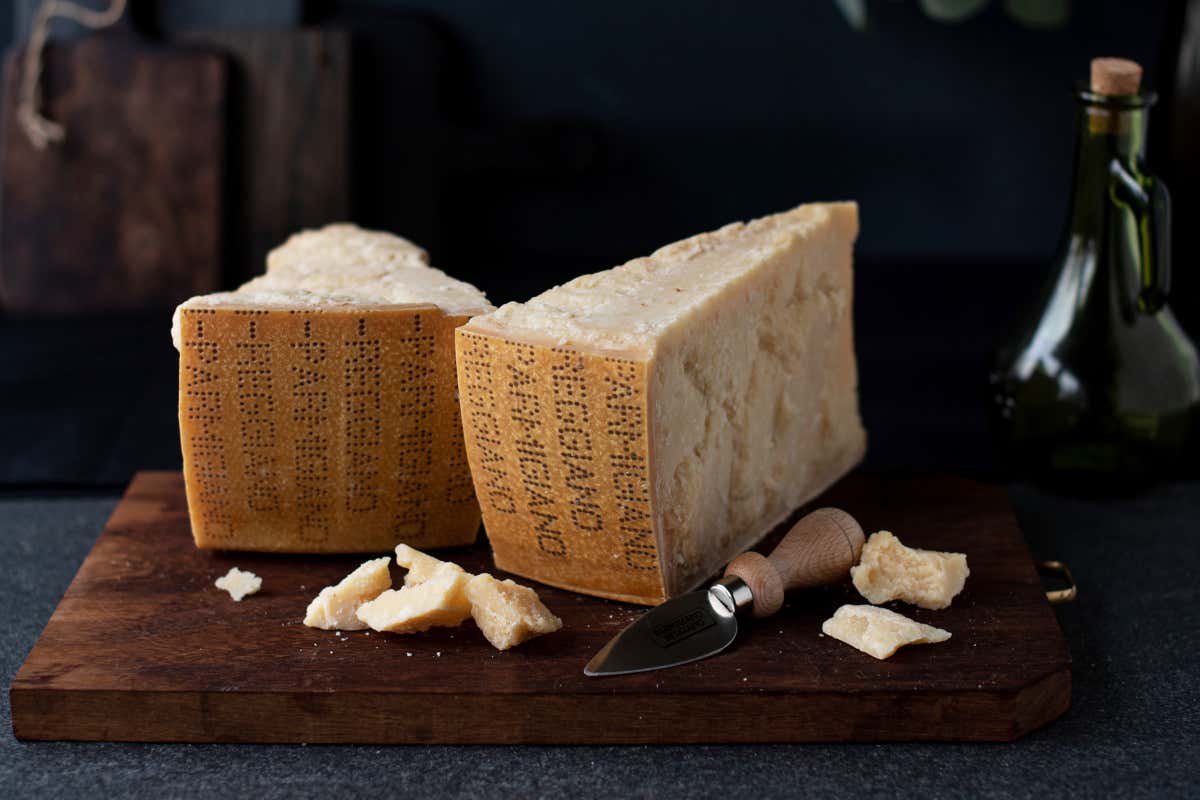 parmigiano
