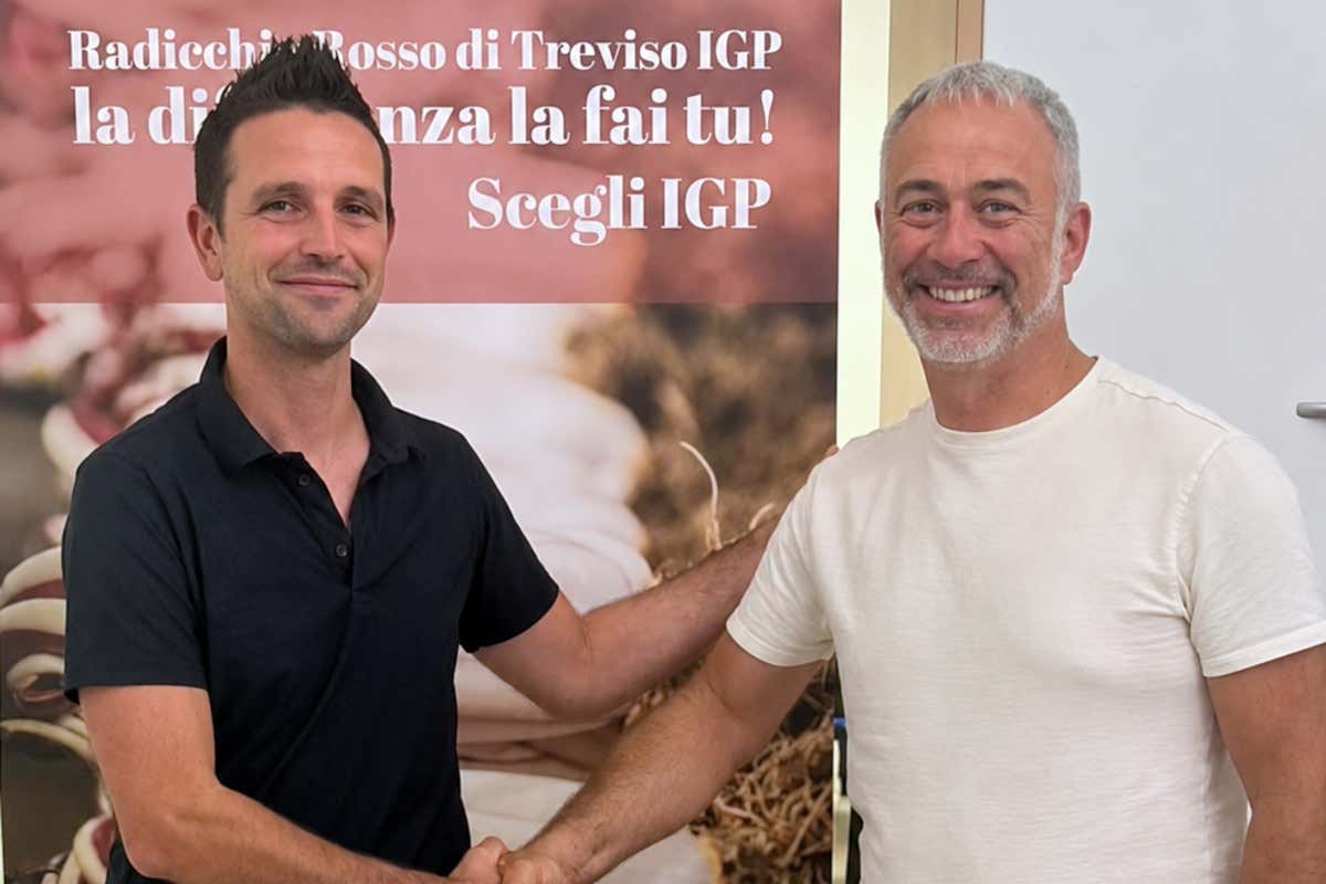 Consorzio Radicchio di Treviso IGP