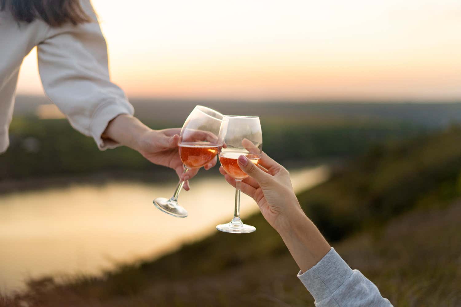 La rinascita dei vini rosati: storia, falsi miti e il successo di una scelta versatile