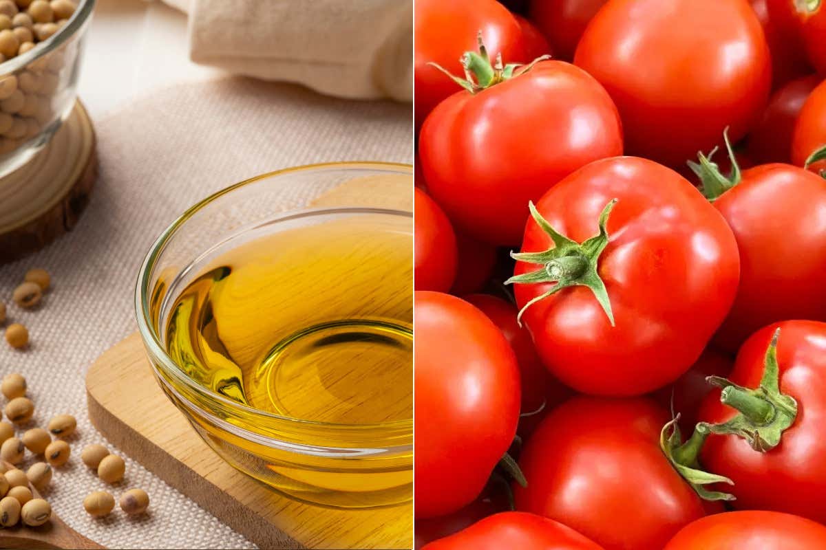Mercati agricoli: olio di soia in calo e pomodoro da industria in assestamento